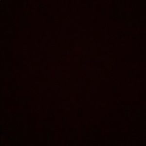 Meet your Posher, Ellie